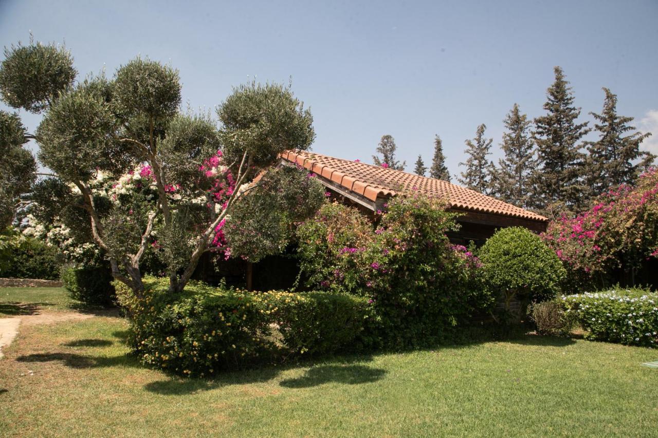 Dar Zitouna Sousse-Tunisie Exterior photo
