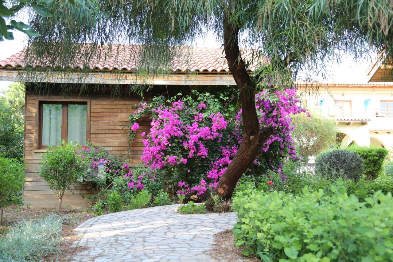 Dar Zitouna Sousse-Tunisie Exterior photo